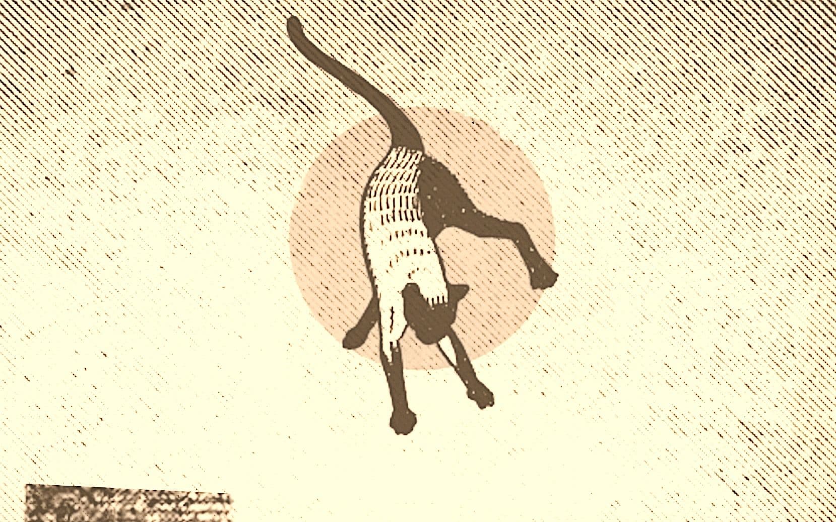 Lovlydia & the Cast of Ludo + Fuckleberry Hinn