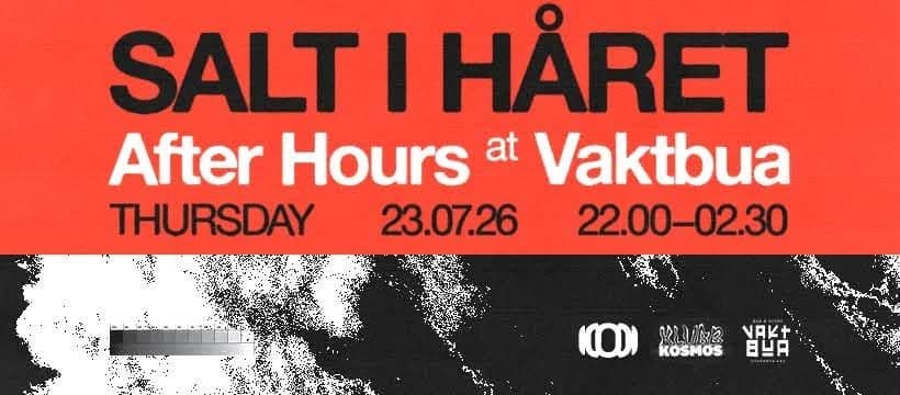 SALT I HÅRET - After party